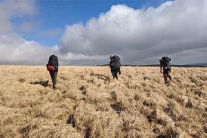 Dofe Wellbeing Spotlight