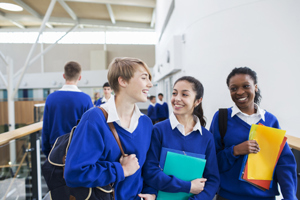 Financial Position Of Schools