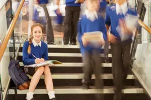 Inclusion Bases Special Needs Jungle Blog